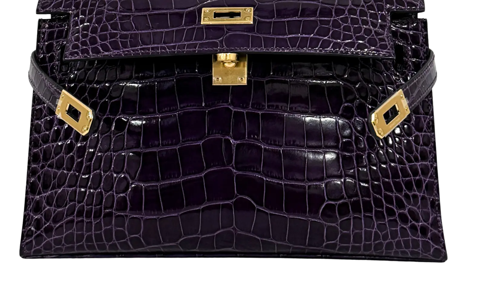 켈리 악어가죽 광택 케어 After