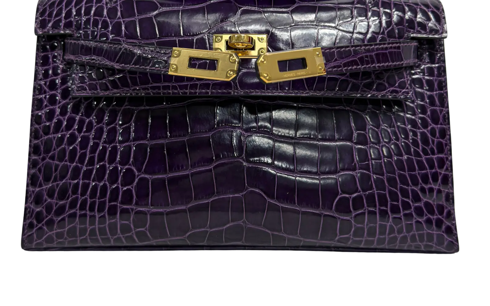 켈리 악어가죽 광택 케어 Before